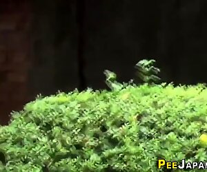 Japan pee, japanese public